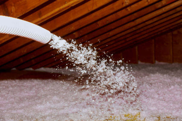 Best Geographic-Specific Insulation Services in Seffner, FL