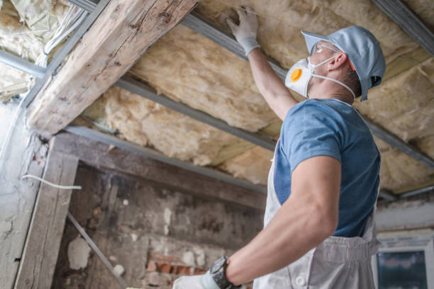 Types of Insulation We Offer in Seffner, FL