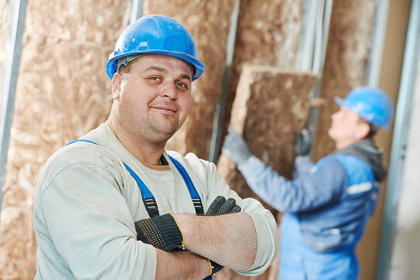 Best Fiberglass Insulation in Seffner, FL